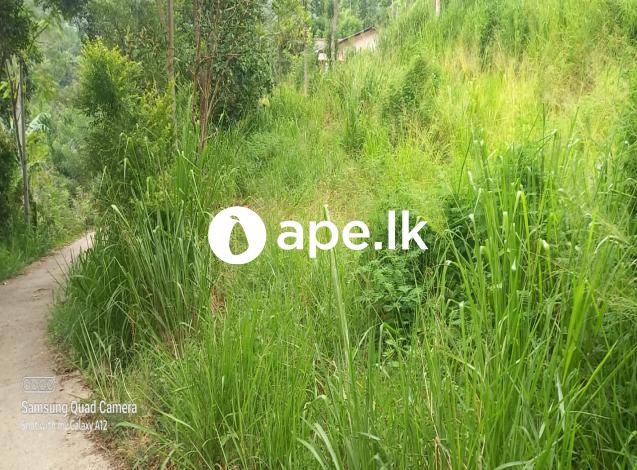 Residential Land - Bandarawela